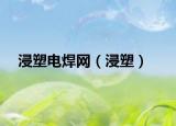 浸塑電焊網(wǎng)（浸塑）