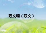雙文明（雙文）