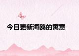 今日更新海鷗的寓意