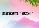 藏文化視頻（藏文化）