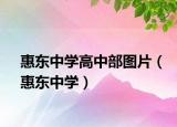 惠東中學高中部圖片（惠東中學）