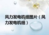 風(fēng)力發(fā)電機(jī)組圖片（風(fēng)力發(fā)電機(jī)組）