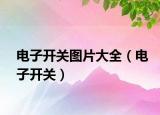 電子開(kāi)關(guān)圖片大全（電子開(kāi)關(guān)）