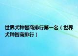 世界犬種智商排行第一名（世界犬種智商排行）
