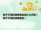 梯子不用時請橫著放是什么哲理（梯子不用時請橫著放）