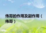 偉哥的作用及副作用（偉哥）