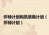 懷特計劃和凱恩斯計劃（懷特計劃）