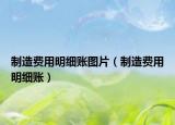制造費(fèi)用明細(xì)賬圖片（制造費(fèi)用明細(xì)賬）