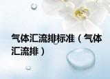 氣體匯流排標(biāo)準(zhǔn)（氣體匯流排）