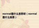 normal是什么意思呀（normal是什么意思）