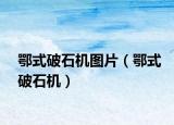 鄂式破石機(jī)圖片（鄂式破石機(jī)）