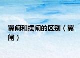 翼閘和擺閘的區(qū)別（翼閘）