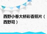 西野小春大橋彩香照片（西野司）