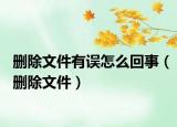 刪除文件有誤怎么回事（刪除文件）