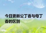 今日更新公丁香與母丁香的區(qū)別