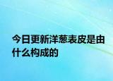 今日更新洋蔥表皮是由什么構(gòu)成的
