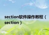 section軟件操作教程（section）