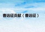 曹遠征貢獻（曹遠征）