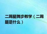 二踢腿舞步教學（二踢腿是什么）