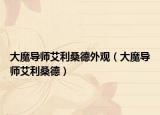 大魔導(dǎo)師艾利桑德外觀（大魔導(dǎo)師艾利桑德）