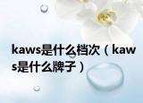 kaws是什么檔次（kaws是什么牌子）