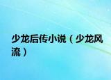 少龍后傳小說（少龍風(fēng)流）