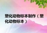 塑化動(dòng)物標(biāo)本制作（塑化動(dòng)物標(biāo)本）