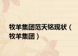 牧羊集團(tuán)范天銘現(xiàn)狀（牧羊集團(tuán)）