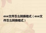 exe文件怎么轉換格式（exe文件怎么轉換格式）