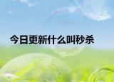 今日更新什么叫秒殺
