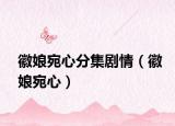 徽娘宛心分集劇情（徽娘宛心）
