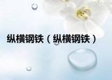 縱橫鋼鐵（縱橫鋼鐵）