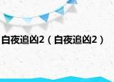 白夜追兇2（白夜追兇2）