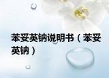 苯妥英鈉說明書（苯妥英鈉）