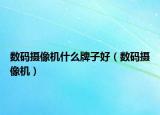 數(shù)碼攝像機(jī)什么牌子好（數(shù)碼攝像機(jī)）
