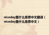 niceday是什么意思中文翻譯（niceday是什么意思中文）