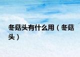 冬菇頭有什么用（冬菇頭）