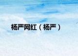 楊嚴網(wǎng)紅（楊嚴）
