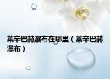 萊辛巴赫瀑布在哪里（萊辛巴赫瀑布）