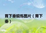 胃下垂鍛煉圖片（胃下垂）