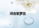 河合紫羅蘭