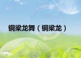 銅梁龍舞（銅梁龍）