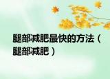 腿部減肥最快的方法（腿部減肥）