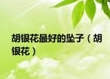 胡銀花最好的墜子（胡銀花）