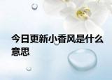 今日更新小香風(fēng)是什么意思