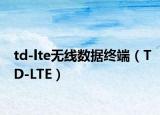 td-lte無線數(shù)據(jù)終端（TD-LTE）