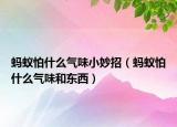 螞蟻怕什么氣味小妙招（螞蟻怕什么氣味和東西）