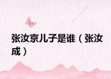張汝京兒子是誰(shuí)（張汝成）