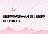 朝朝暮暮代表什么生肖（朝朝暮暮（成語(yǔ)））
