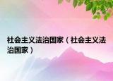 社會主義法治國家（社會主義法治國家）